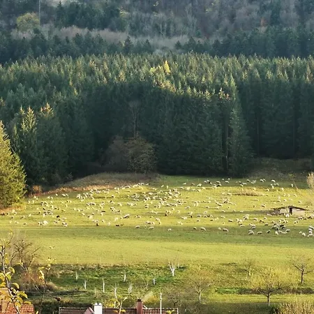 Apartment Blick Rappenstein