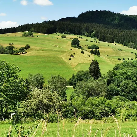 Blick Rappenstein * Hausen am Tann
