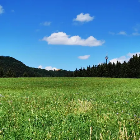 Апартаменты Blick Rappenstein *