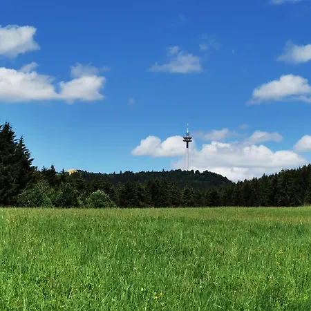 Blick Rappenstein Apartment Hausen am Tann