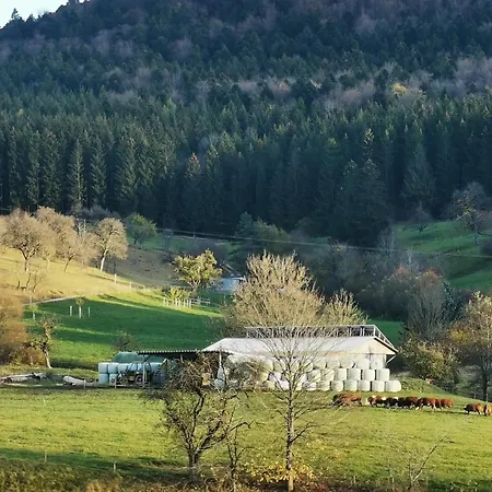 Apartment Blick Rappenstein Hausen am Tann