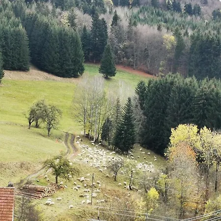 Blick Rappenstein * Hausen am Tann