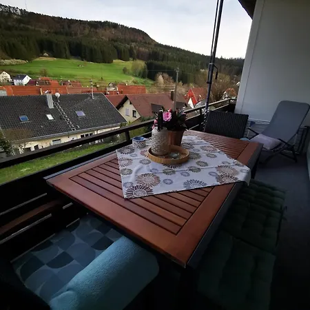 Blick Rappenstein Hausen am Tann